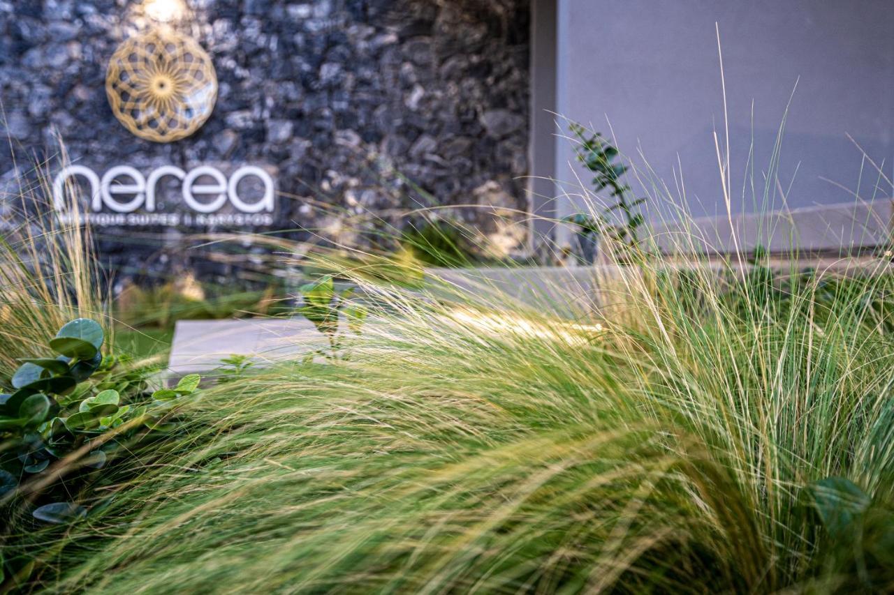 Nerea Boutique Suites Karystos Zewnętrze zdjęcie